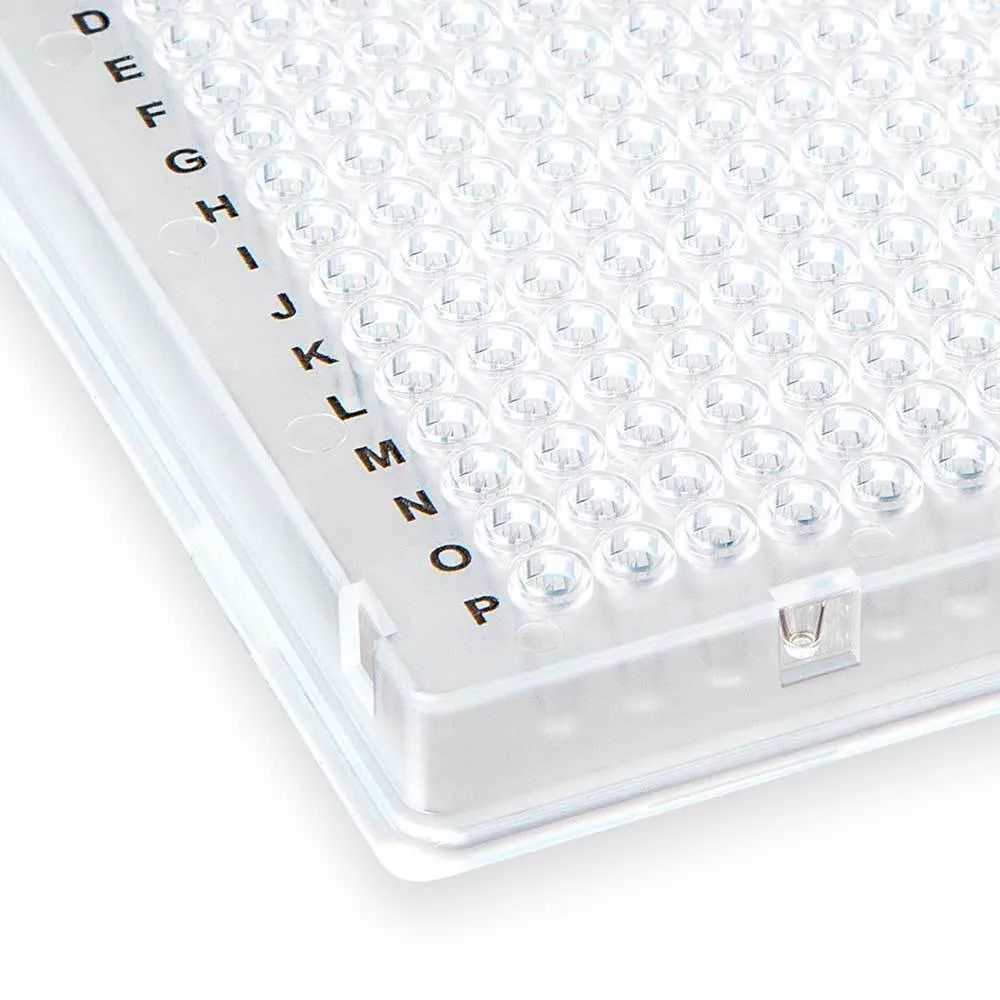384-well PCR plate, A24/P24 two notch, natural