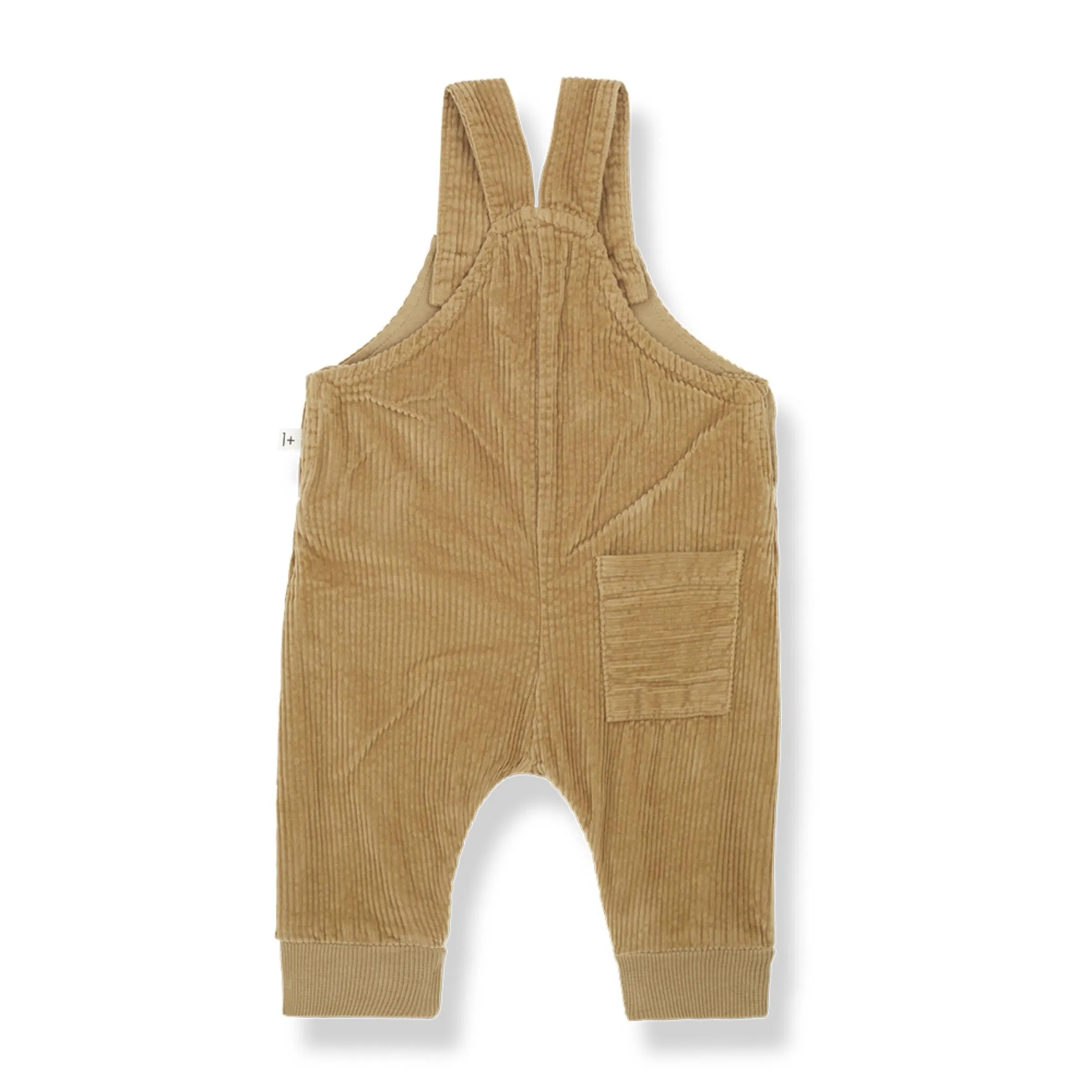 Adolf Overall, Ochre
